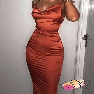 Bodycon long midi elegant dress - The MAYZ