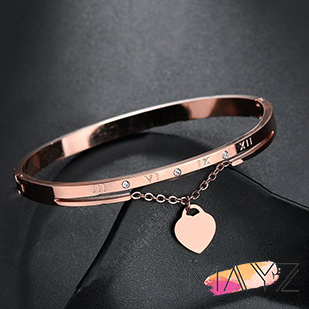 Luxury Stainless Steel Bracelets Bangles - The MAYZ