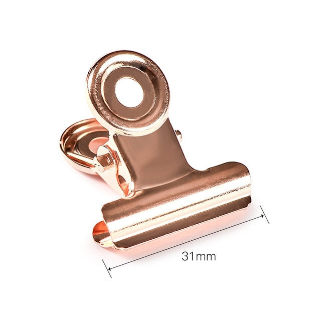 False Nail Tips Extension Forms Acrylic UV Gel Quick Building Mold Nail - The MAYZ